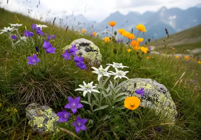 Imagen PNG para descargar